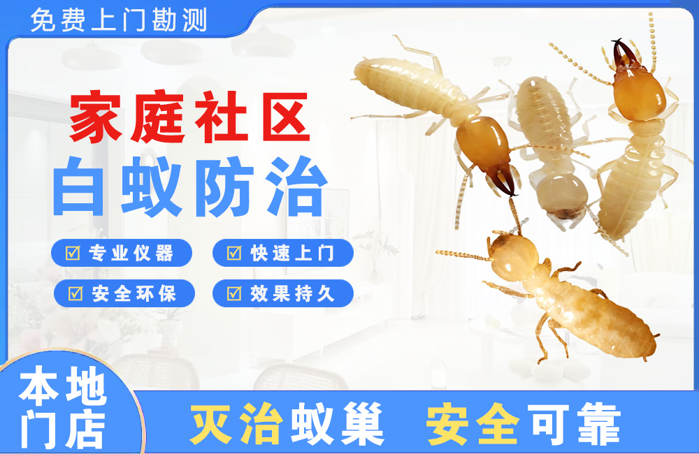 宿迁家庭社区白蚁防治