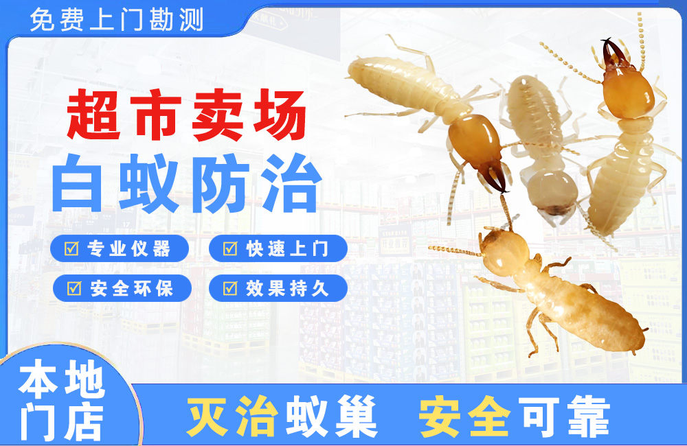 宿迁超市卖场白蚁防治