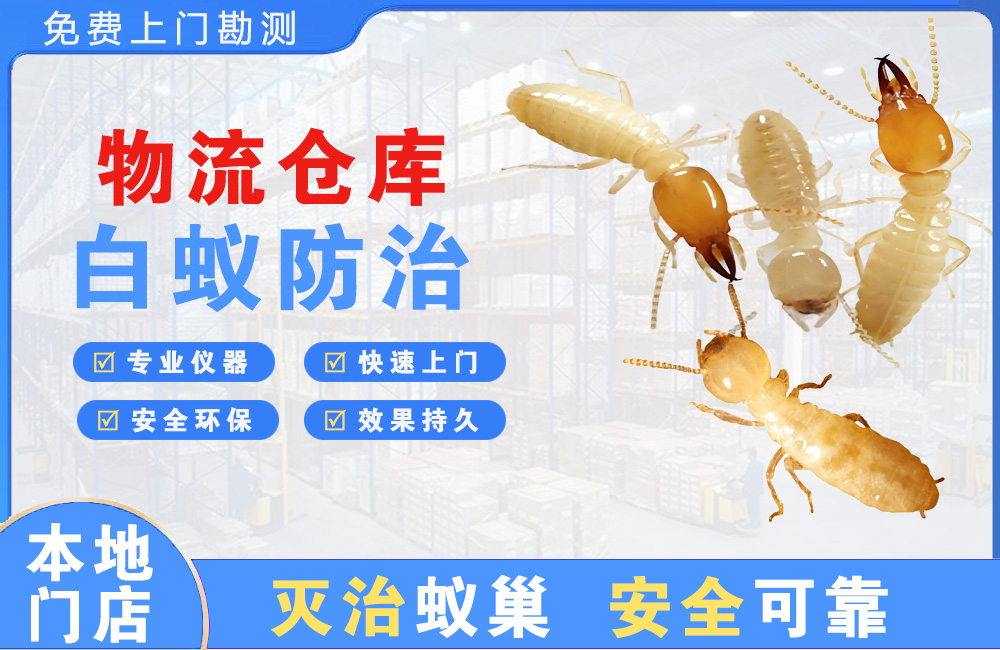 宿迁物流仓库白蚁防治