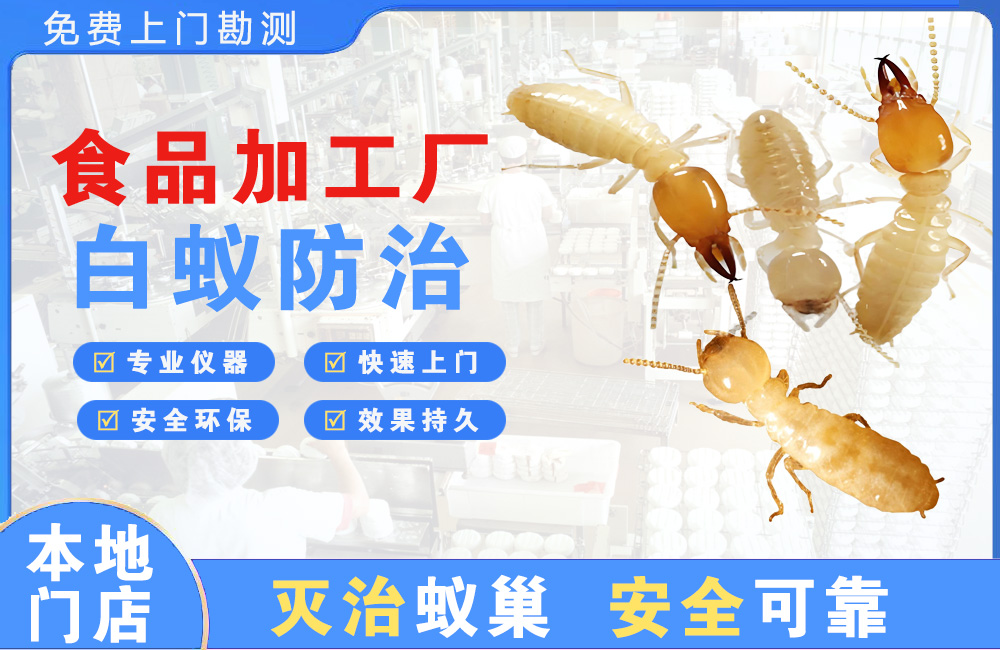 宿迁食品加工厂白蚁防治