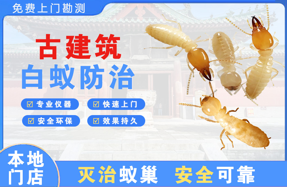宿迁古建筑白蚁防治