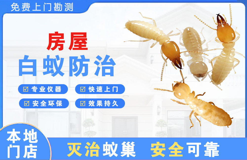 宿迁房屋白蚁防治